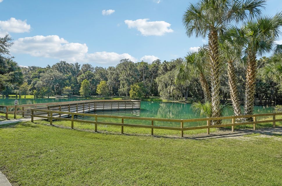 Gemini Springs